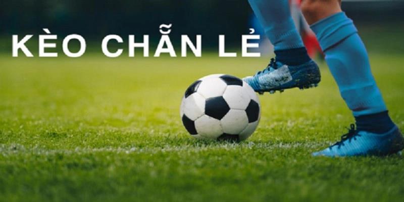 Chiến lược cược kèo Chẵn Lẻ