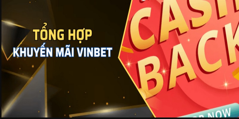 Vinbet nền tảng cá cược uy tín dẫn đầu xu hướng